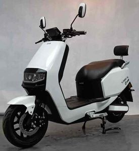 Tailing  TL1000DT36 Electric two wheeled motorcycle