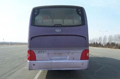 Huanghai  DD6119K66 coach