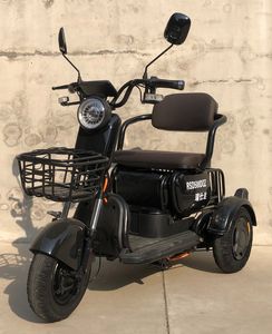 Ruishida  RSD500DQZ Electric three wheeled light motorcycle