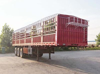 Ruxin  RXP9400CCYZX Gantry transport semi-trailer