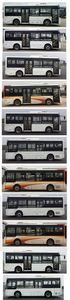 Chinese license plate cars TEG6802BEV07 Pure electric city buses