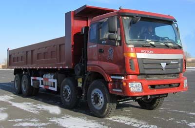 Ice Flower  YSL3318DMPKF Dump truck