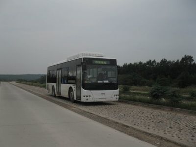 CSR Times TEG6106NG06 City buses