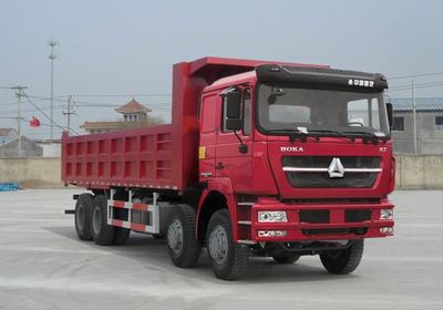 Star Steyr ZZ3313V4661C1 Dump truck