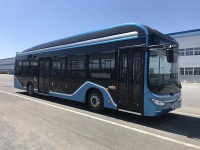 Huanghai  DD6129EV22 Pure electric city buses