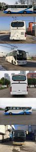 Foton  BJ6116FCEVUH3 Fuel cell buses