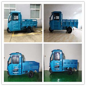 Hanpeng  HP1500DZH5 Electric tricycle