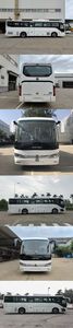 Foton  BJ6117EVCA1 Pure electric city buses