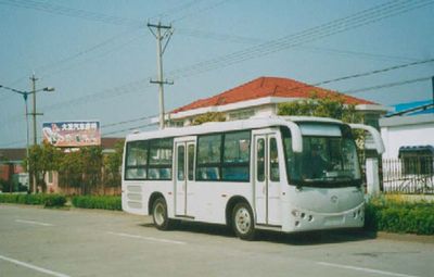 Friendship  ZGT6801DH6 City buses