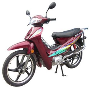 Lingtian  LT1102X Two wheeled motorcycles