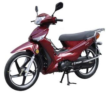 Jinlong  JL11040 Two wheeled motorcycles