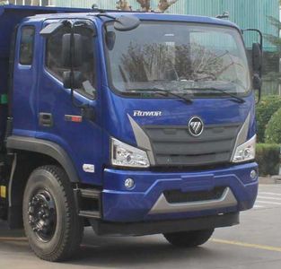 Foton  BJ3094DEJDA03 Dump truck