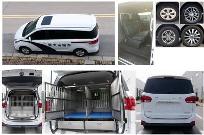 Datong  SH5031XJQC1GCA Police dog transport vehicle