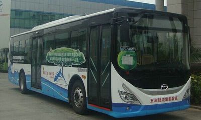 Wuzhoulong  FDG6117EVG1 Pure electric city buses