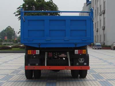 Ace car CDW3100N1T Dump truck