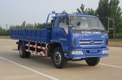 Foton  BJ3163DKPFG4 Dump truck