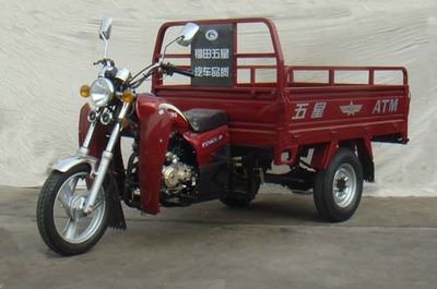 Foton Five Star WX175ZH5A right three-wheeled motorcycle 