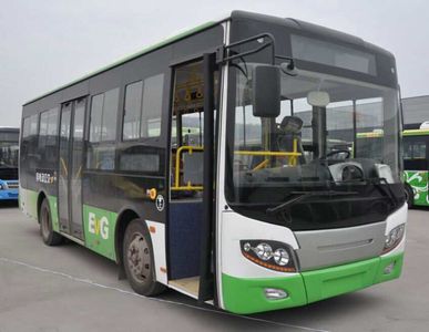 Wuzhoulong  FDG6851EVG6 Pure electric city buses