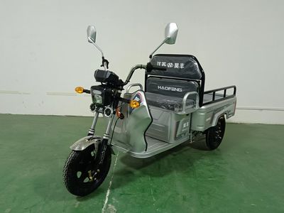 Haofeng  HF1000DZH Electric tricycle