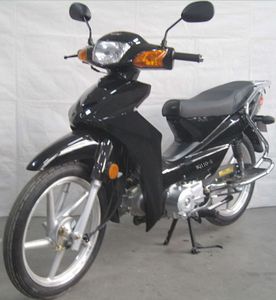 Wanqiang  WQ1105 Two wheeled motorcycles