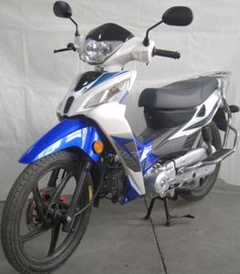 Wanqiang  WQ1105 Two wheeled motorcycles