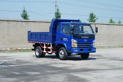 Dayu  YTA3042GTJG3A Dump truck