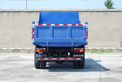 Dayu  YTA3042GTJG3A Dump truck