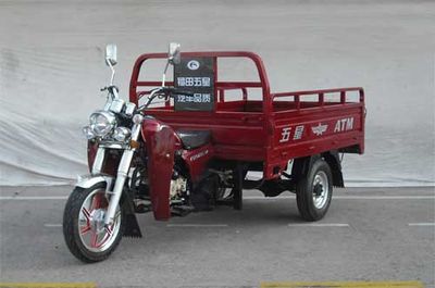 Foton Five Star FT250ZH3A right three-wheeled motorcycle 