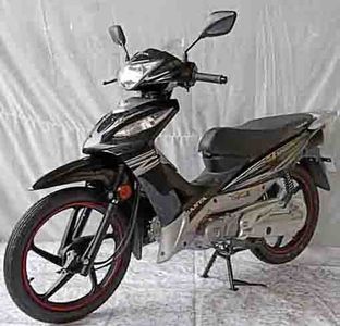 Sanya  SY11042 Two wheeled motorcycles