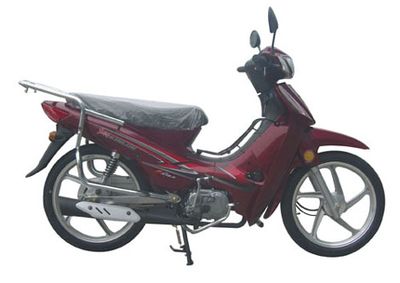 Jinlong  JL11031 Two wheeled motorcycles