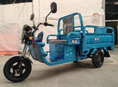 Fuzheng  FZ1000DZH3A Electric tricycle