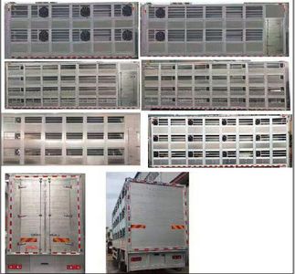 Shenhu  HLQ5310CCQD6 Livestock and poultry transport vehicles