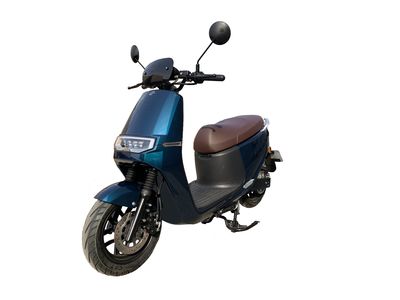 Dayang  DY1500DT Electric two wheeled motorcycle