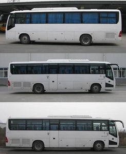 Dongfeng  EQ6113L5N coach