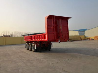 Tongtai Dingsheng brand automobiles TZL9400ZHX tipping chassis 