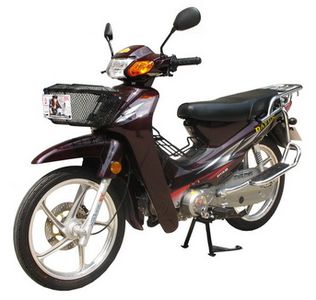 Dayun  DY1102K Two wheeled motorcycles