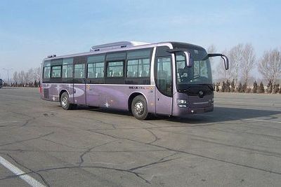 Huanghai  DD6129K65N coach