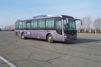 Huanghai  DD6129K65N coach