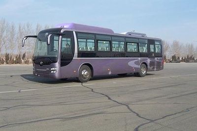 Huanghai  DD6129K65N coach