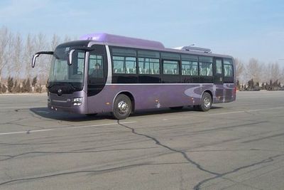 Huanghai  DD6129K65N coach