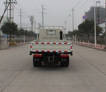 Dongfeng  DFA2031S29D6 Off road cargo vehicle