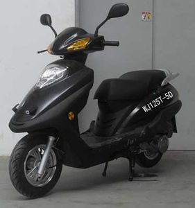 Wangjiang  WJ125T5D Two wheeled motorcycles