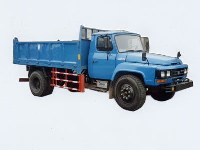 Hongyan CQ3073E3Dump truck