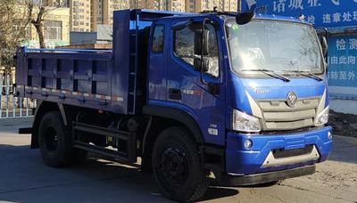 Foton  BJ3184DLPFA01 Dump truck