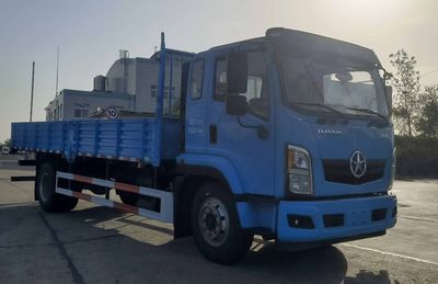 Dayun  DYQ1122D6AB Truck