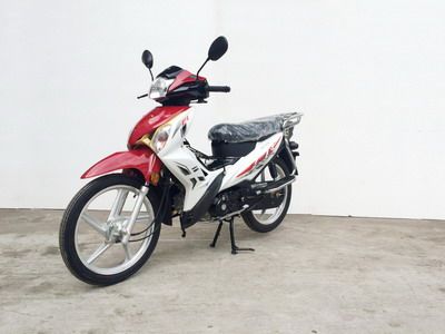 Shuangshi  SS1109A Two wheeled motorcycles