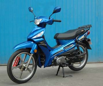 Zongshen brand automobiles ZS11060S Two wheeled motorcycles