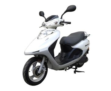 Feihu  FH110T3 Two wheeled motorcycles