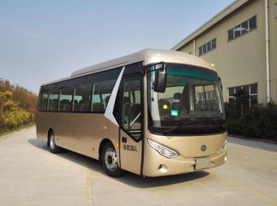 Zhongyi brand automobiles JYK6801BEV Pure electric passenger cars