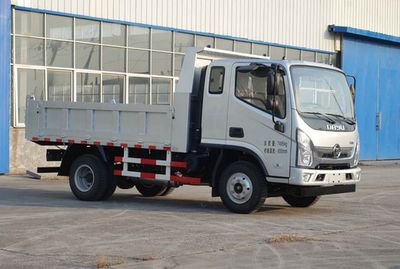 Dayu  DYC3072UYAG3 Dump truck